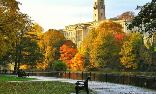 boston common

